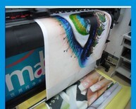 黄陂区喷绘写真与数字广告制作 技术与服务的完美结合