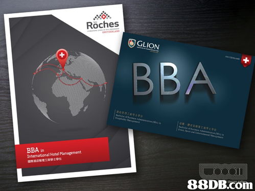 Woooii设计画廊 一站式专业设计解决方案，赋能您的品牌视觉